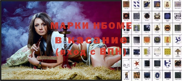 шишки Арсеньев