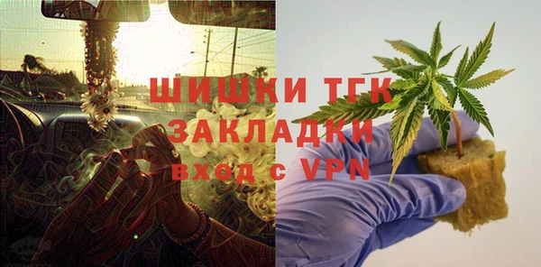 шишки Арсеньев