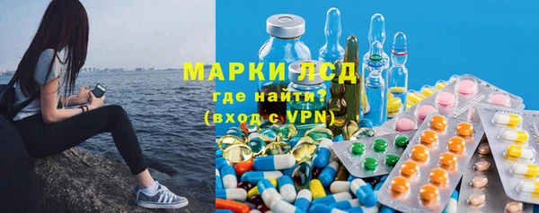шишки Арсеньев